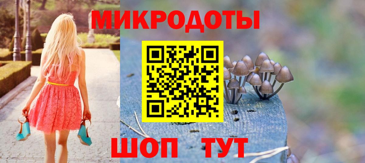 Камень-на-Оби  Псилоцибиновые грибы Magic Shrooms  Вход с VPN 